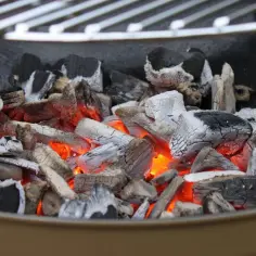 Brykiet drzewny do grilla: Rewolucyjny sposób na perfekcyjne barbecue bez wpadek