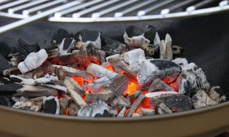 Brykiet drzewny do grilla: Rewolucyjny sposób na perfekcyjne barbecue bez wpadek